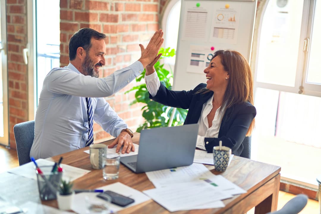 Business Analyst Training Programme